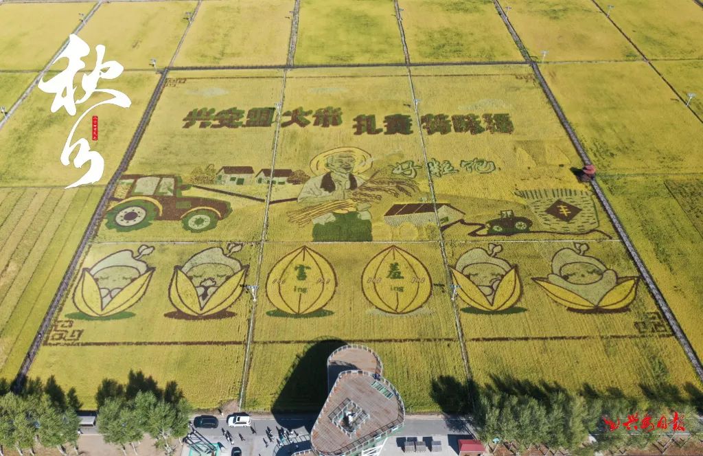 二十四节气之秋分丰收,秋分节气平分秋色