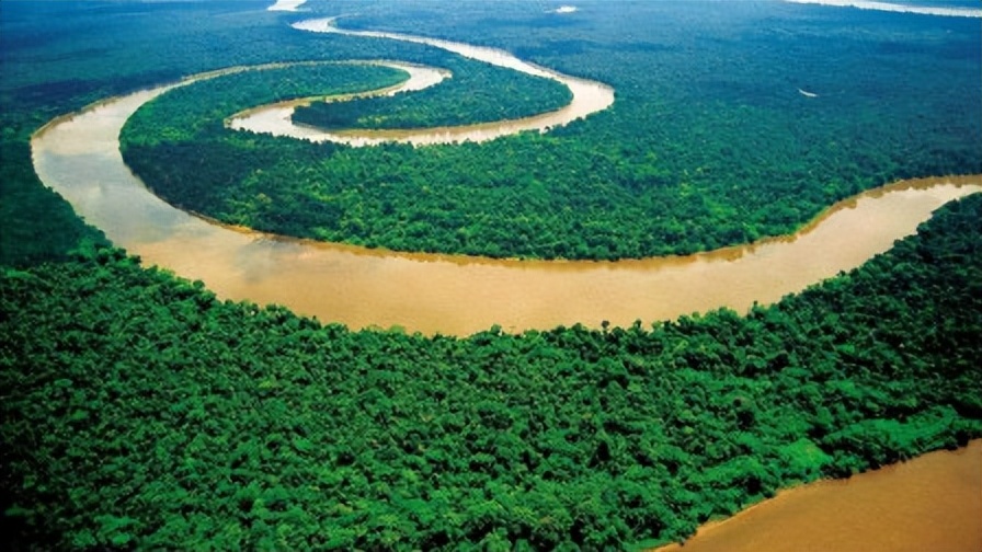 为什么人们不敢在亚马逊河游泳,亚马逊河究竟有多可怕为何没有桥