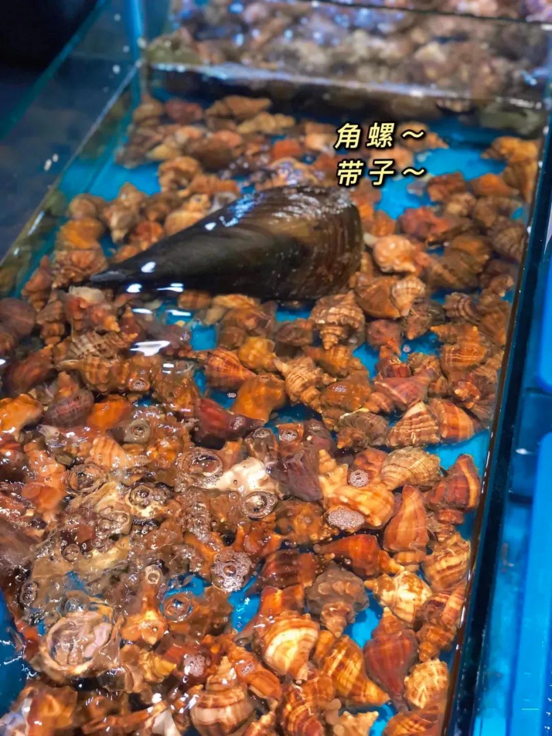 浙江最快的高铁,浙江第一条高铁开通时间