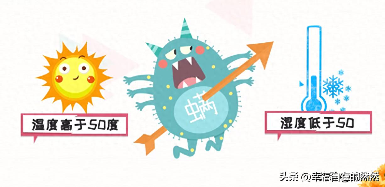 羽绒被太阳晒能杀菌吗,羽绒被洗后晒干有黄渍