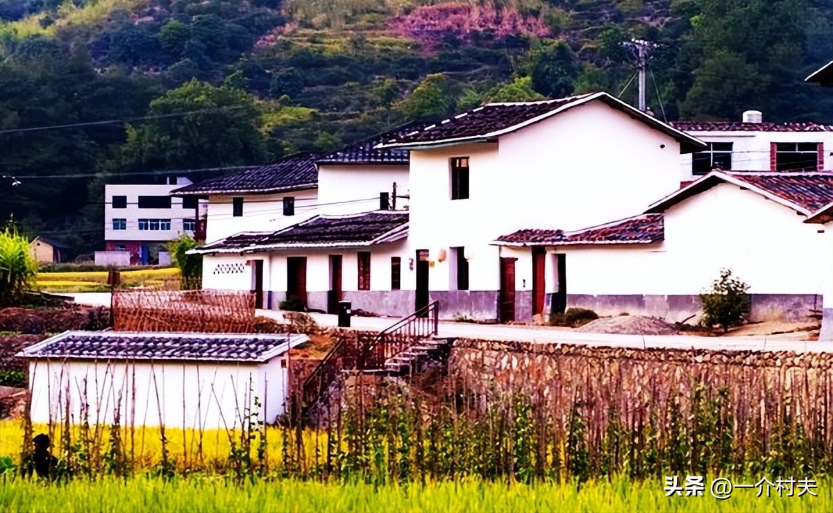 农村免费政策2018,农村的六项免费政策