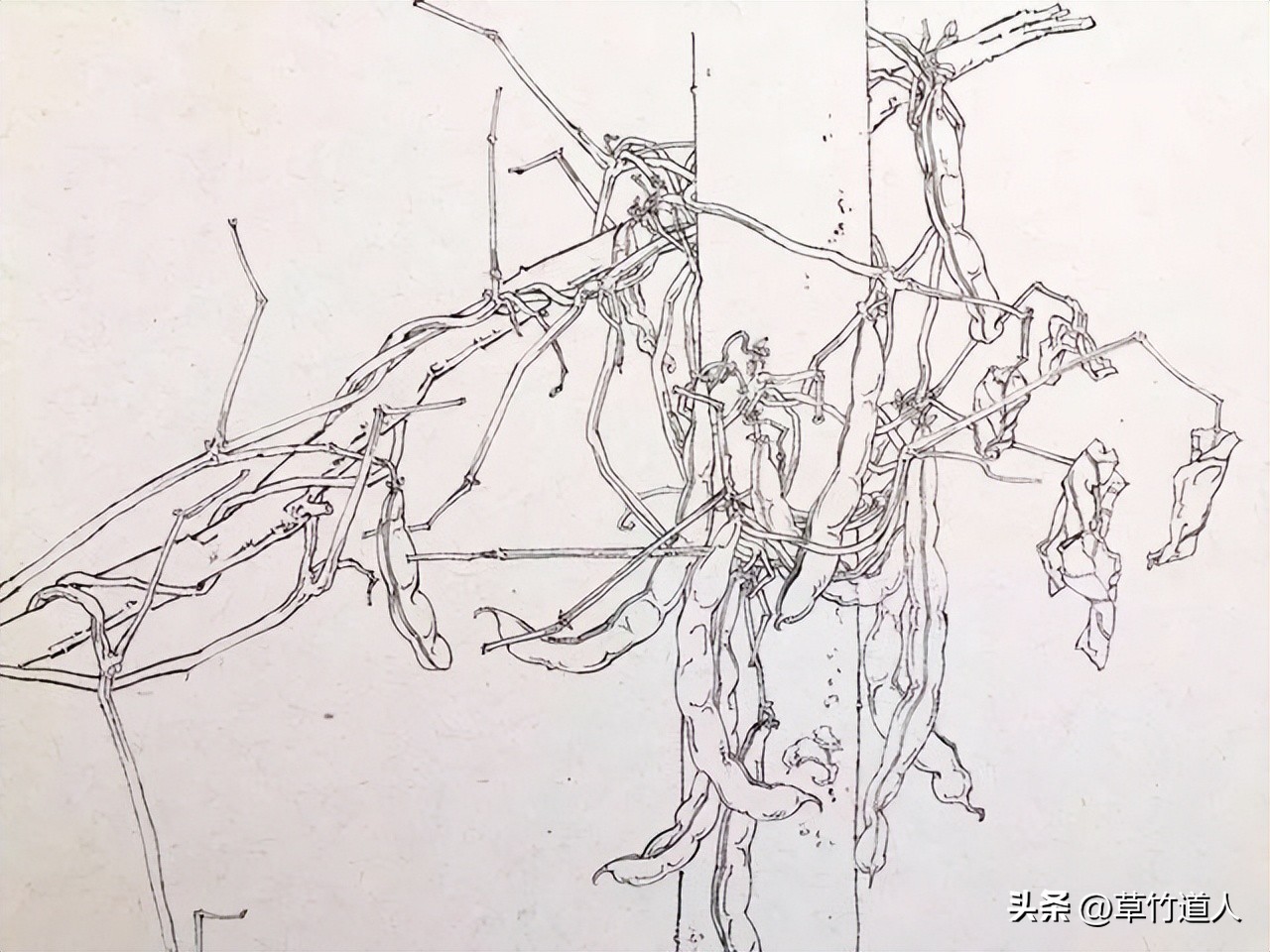 绘画艺术形象及其审美意义,中国绘画的审美特点4字