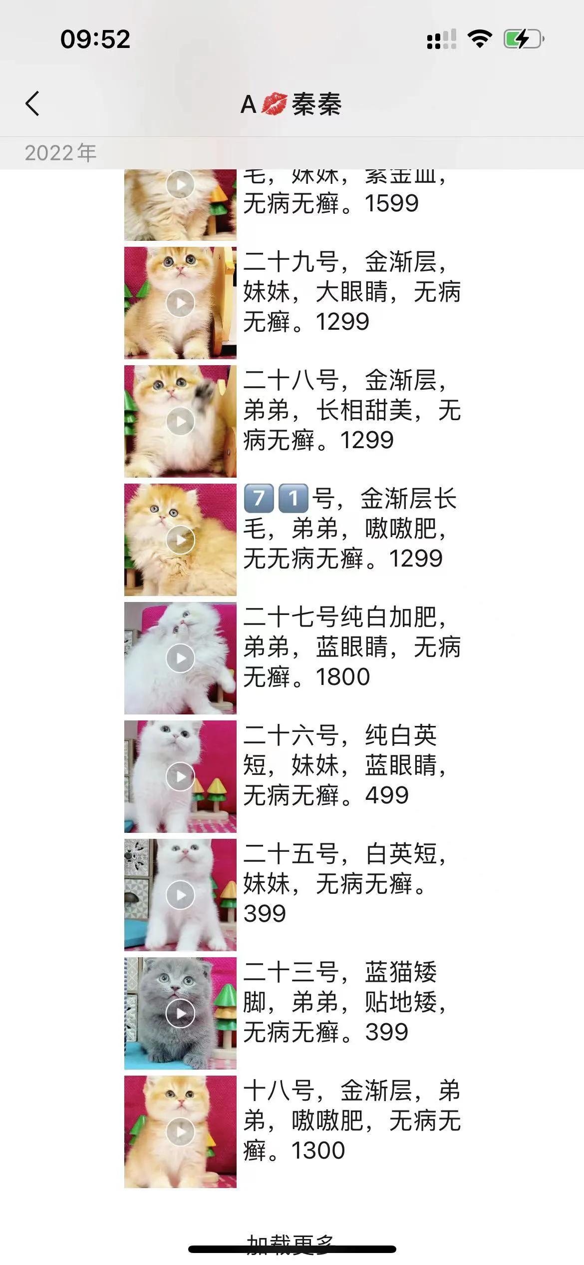 新手想养猫到底是领养还是购买,想养猫咪买什么样的