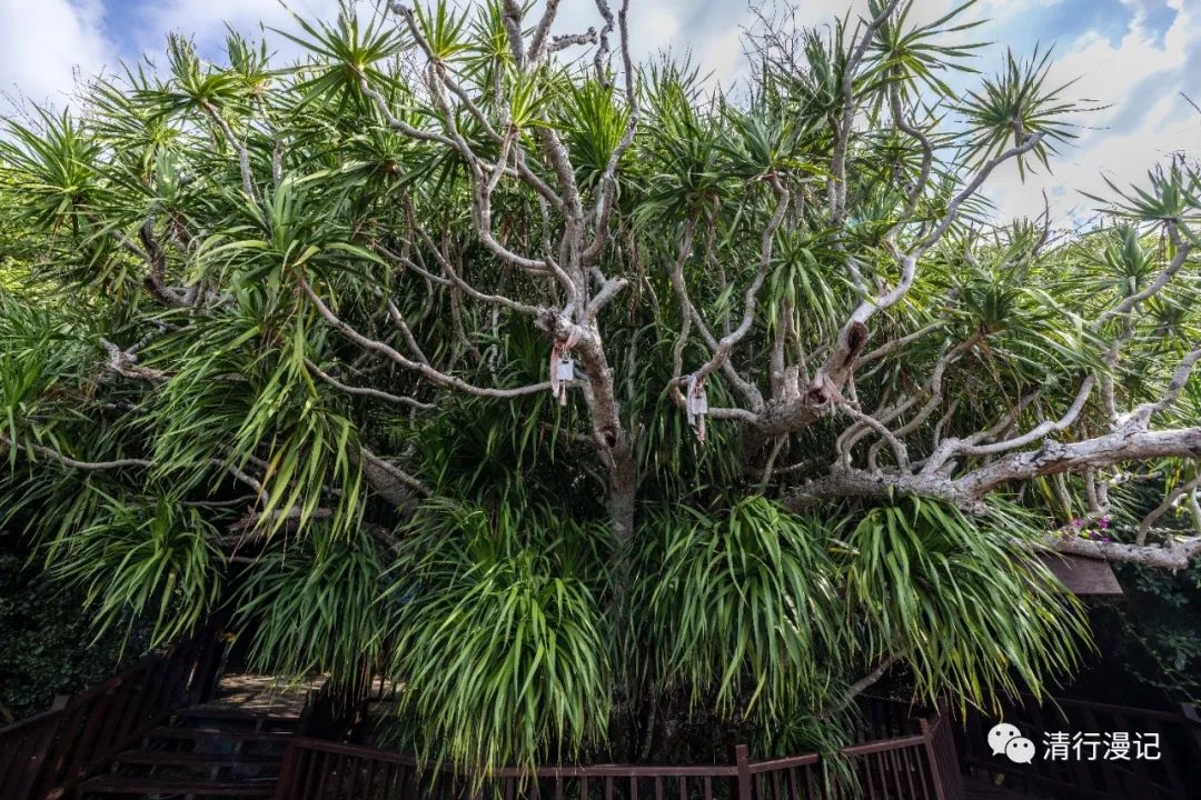 海南大小洞天代步攻略,海南的大小洞天