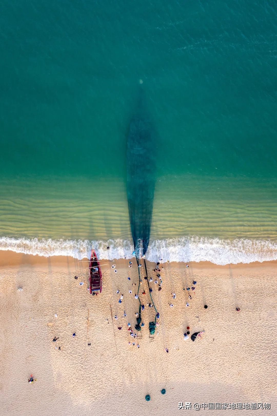 莆田的枇杷什么时候最好吃,莆田的枇杷又大又甜