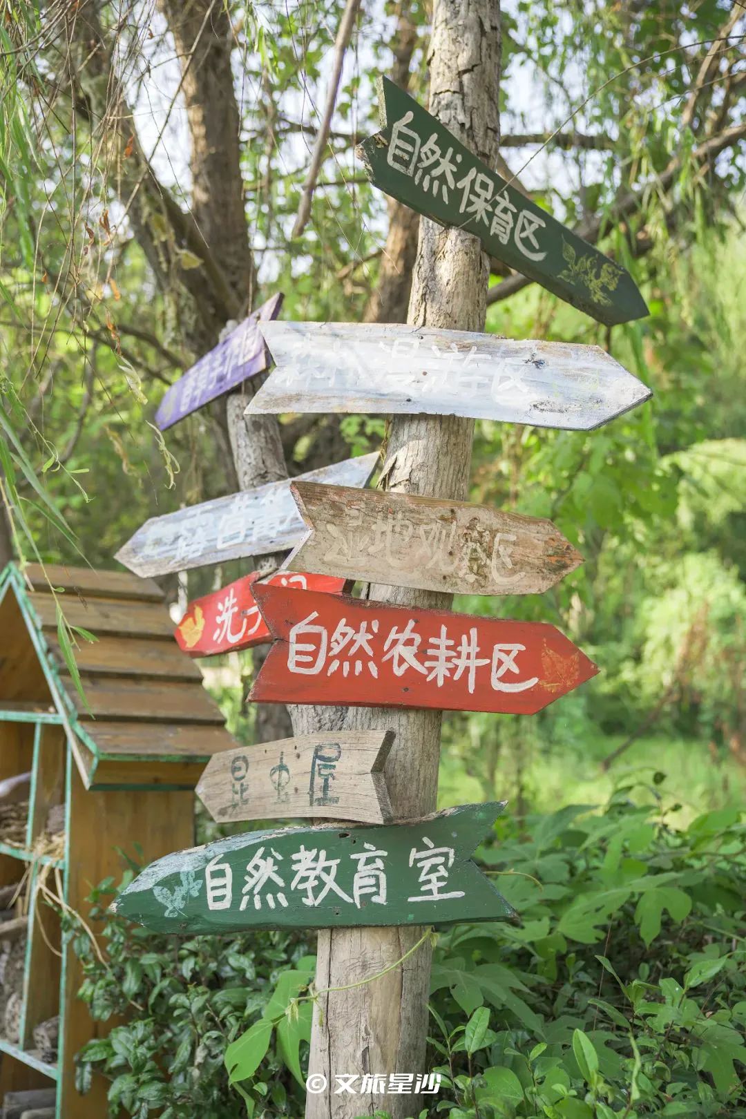 星沙五一去哪里玩,夏季长沙星沙吃喝玩乐攻略