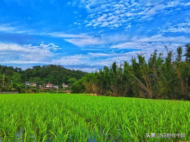 一个县委书记的临别感言,一个县委书记的日常生活