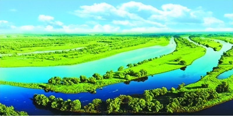 多元共治生态治理模式,多元共治的生态治理模式