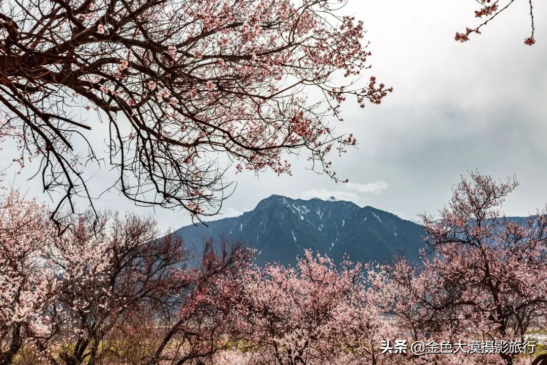 3月份去西藏林芝,3-4月去西藏林芝好玩吗