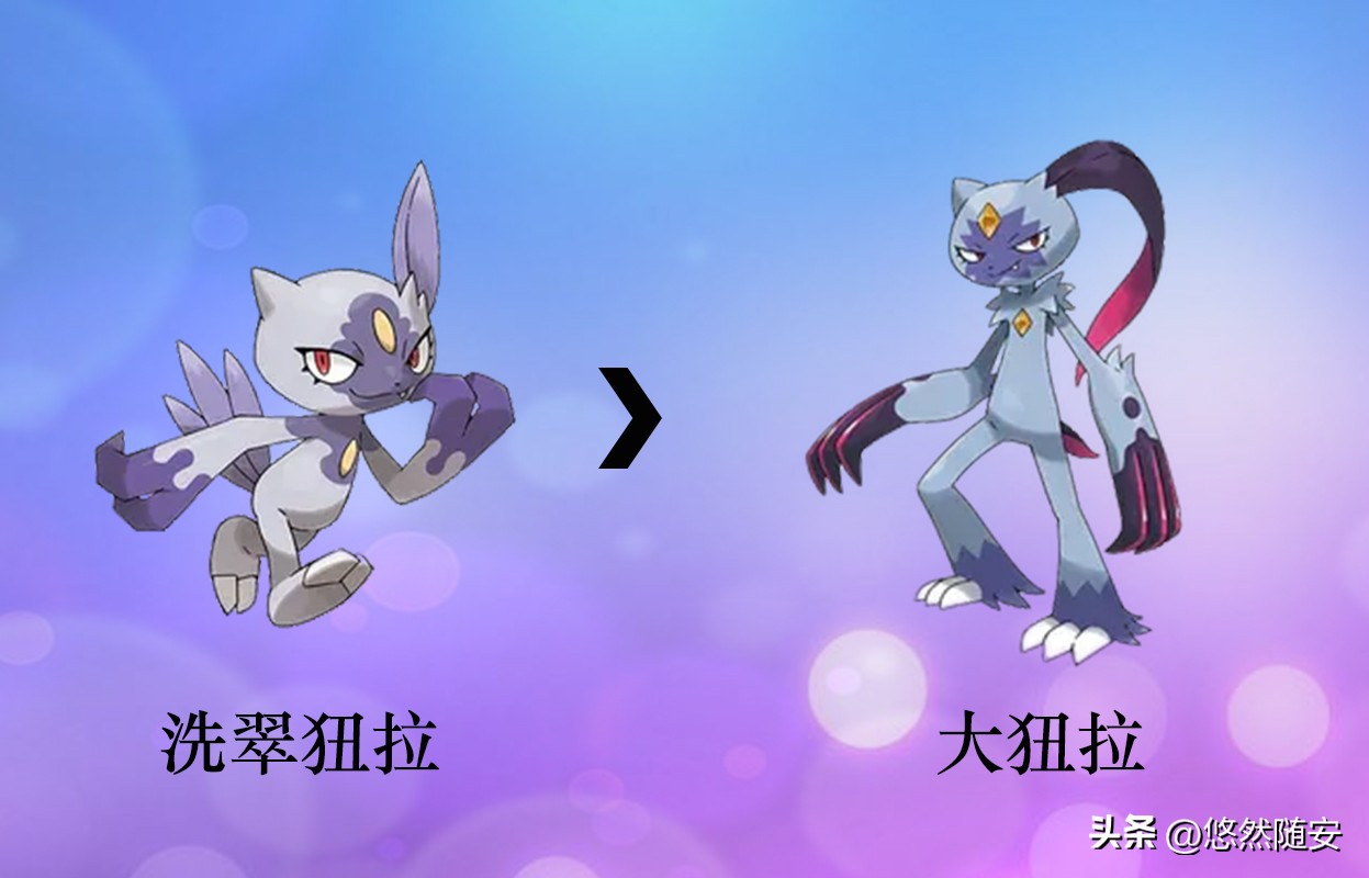 宝可梦伊布全部进化形态,宝可梦剑盾泪眼蜥进化形态