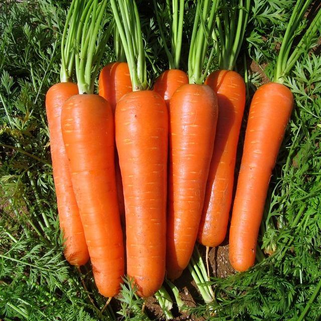 排尿很黄异味很大是什么病的信号,排尿很黄还有分泌物怎么回事