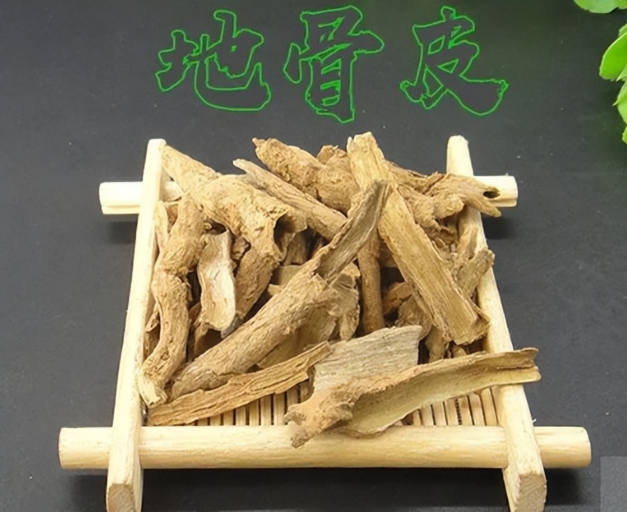 一味地骨皮泡水喝的功效,地骨皮的功效秘方