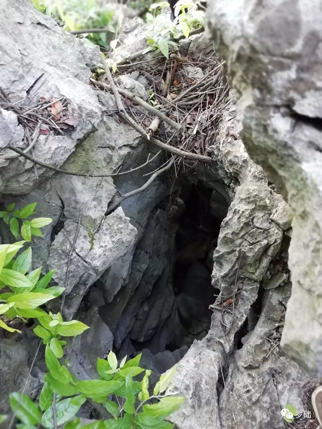 鐭虫湪灞卞,鐭虫湪瀵ㄥソ椋庡厜