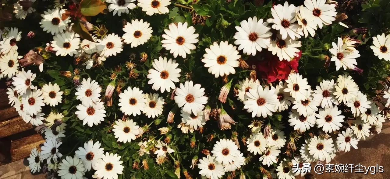 学生在学校运动比赛中碰伤谁负责,学校比赛拉伤了学校是否承担责任