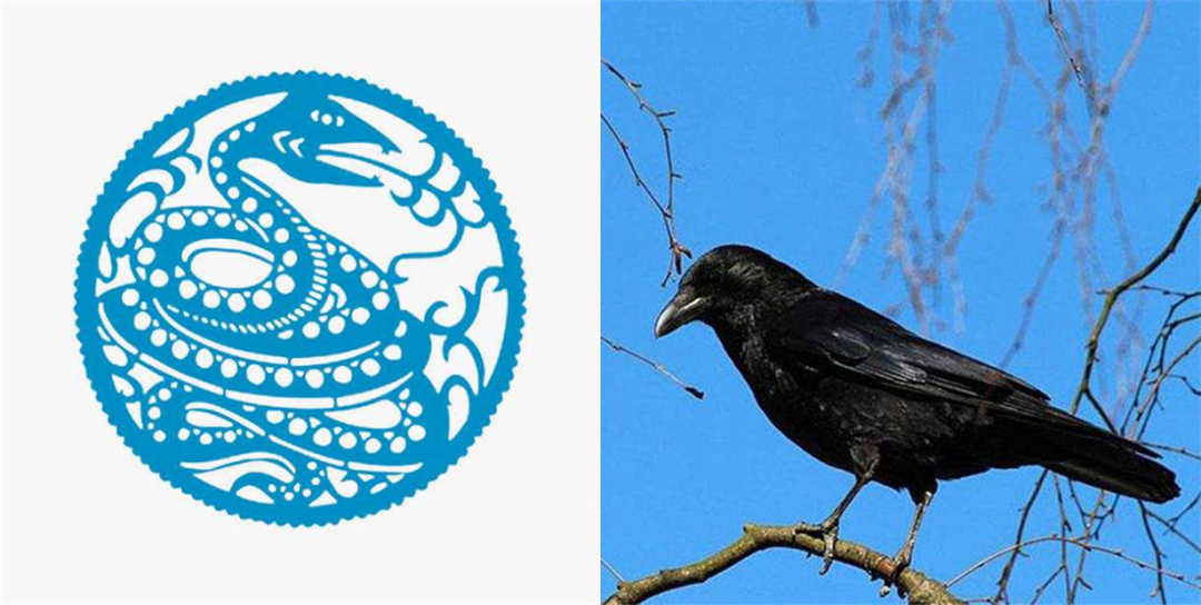 黄鼠狼成精向人讨封被骂,黄鼠狼讨封成精后怎么处理