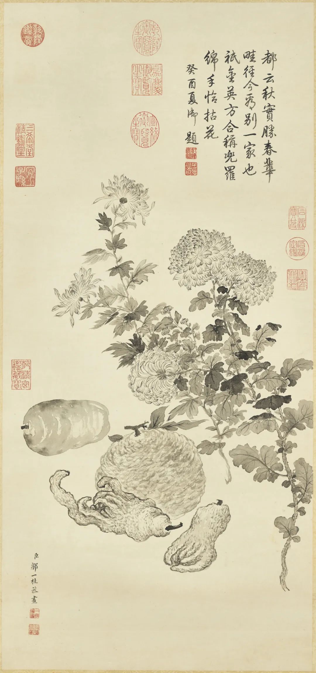 慕容看世界的视频,慕容看世界所有视频