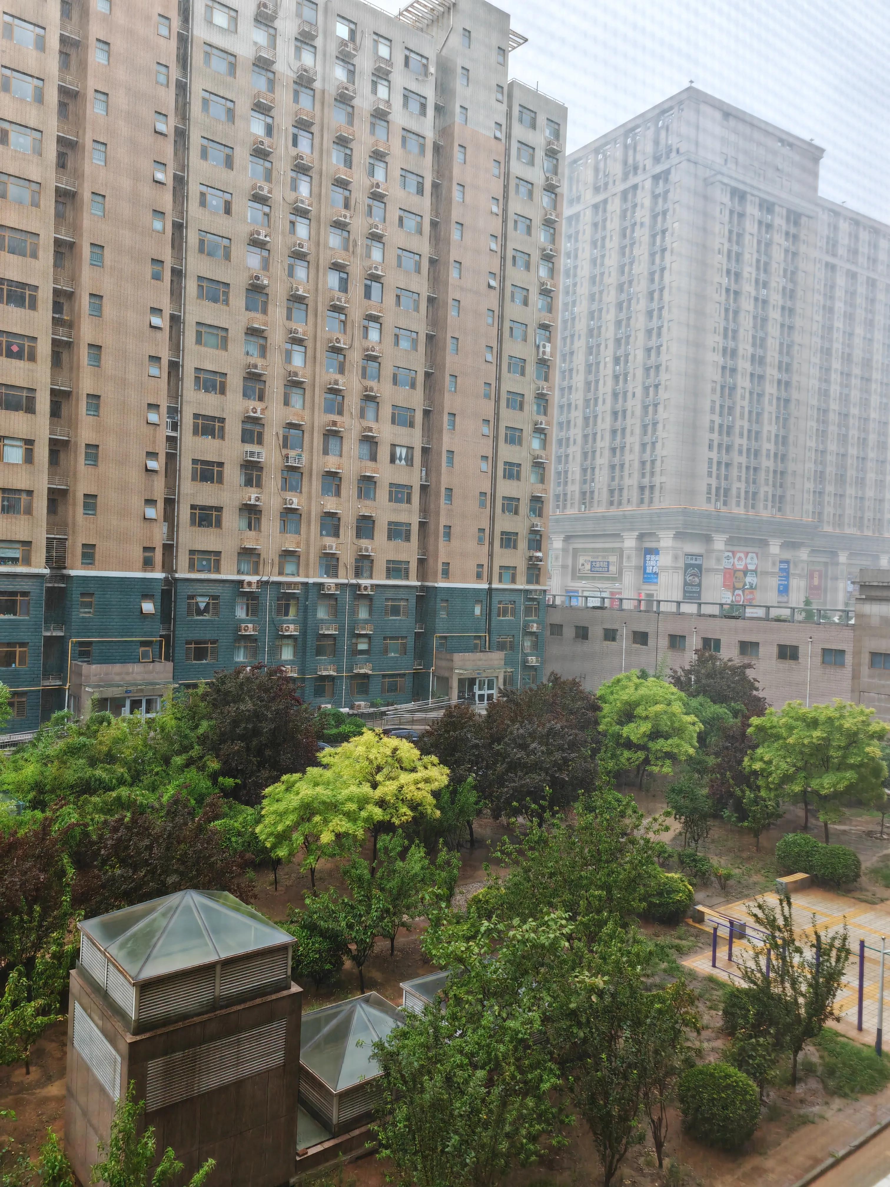 丢书是什么,丢手绢歌曲