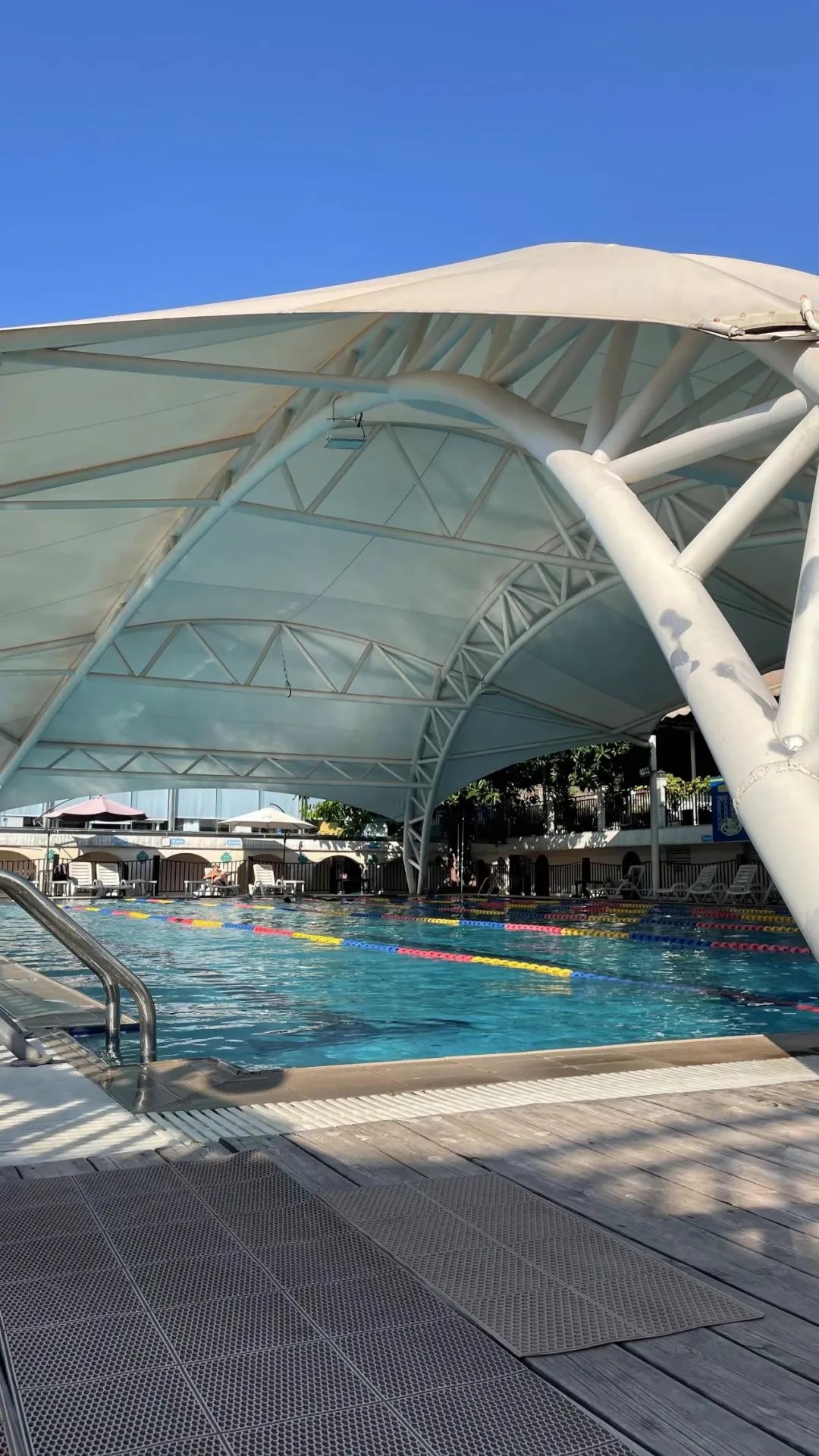 外地朋友来四川吃美食,外地朋友来四川吃苍蝇馆子