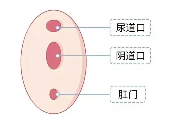 有妇科炎症可以去水上乐园玩吗,在水上乐园玩会染病吗