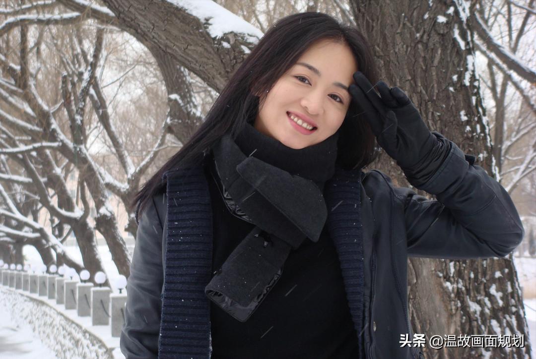 8月王炸电视剧推荐,好看的电视剧推荐2020总共24集