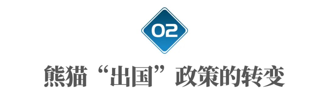 国宝熊猫丫丫回国了吗,国宝熊猫丫丫真的回国了吗