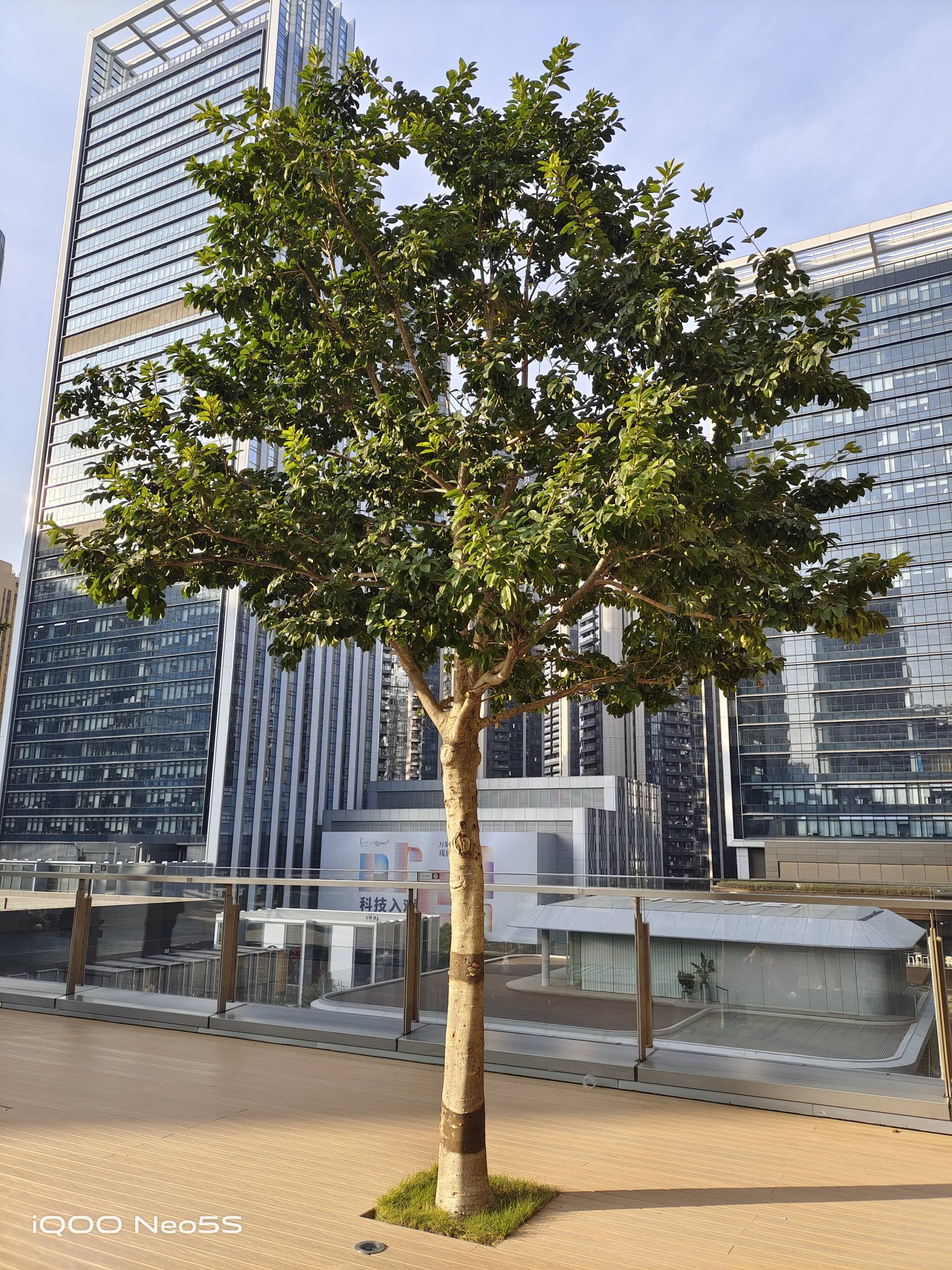 iqooneo5s测评对比一加9,iqooneo5s双芯旗舰