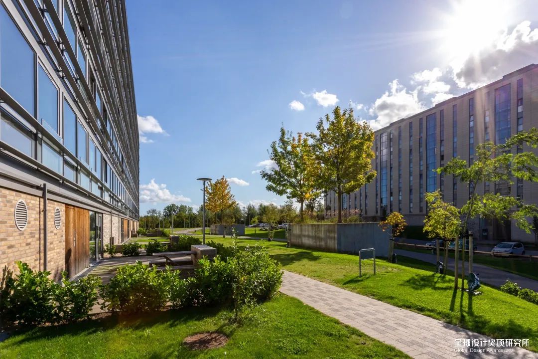 awards2018鑾峰鍚嶅崟,2019awards鑾峰鍚嶅崟