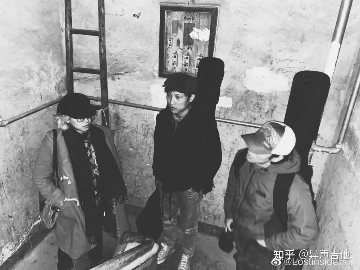 斑鸠的五种常见叫声,疫情下我学会了什么技能