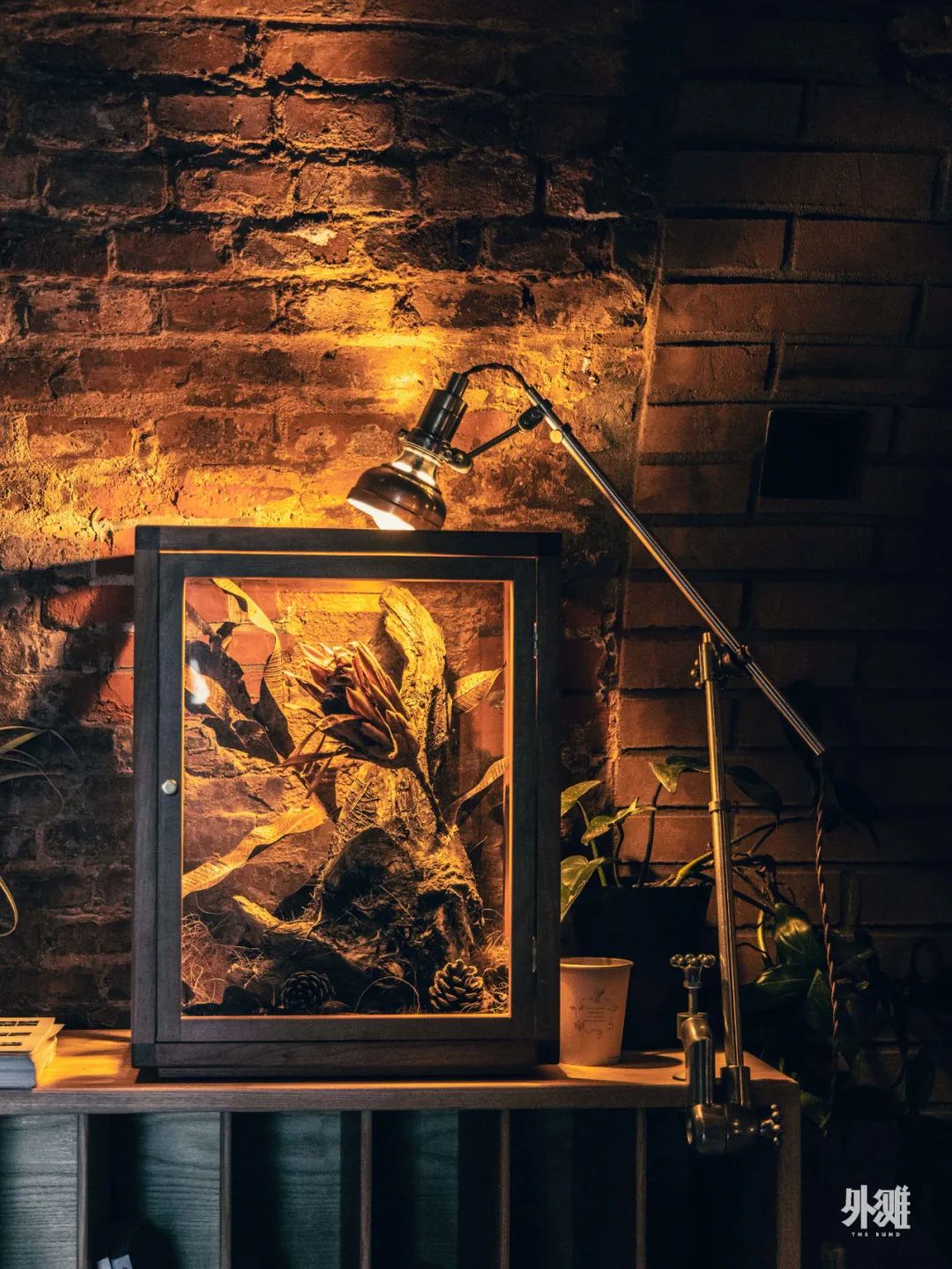 上海新晋热门打卡地，在红砖窑厂里喝咖啡、露营