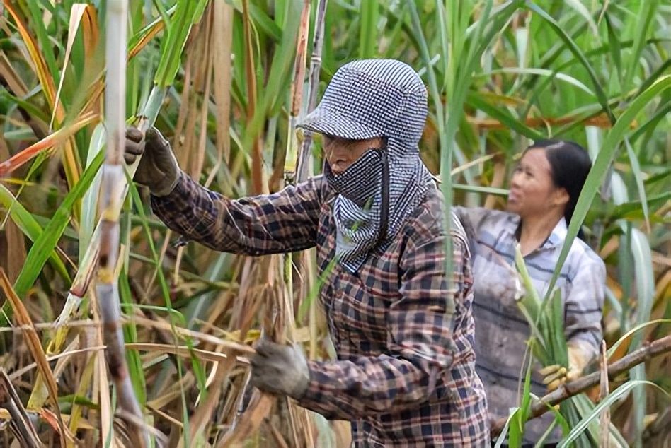 越南人偷渡广西最新事件,越南人为什么偷渡来中国