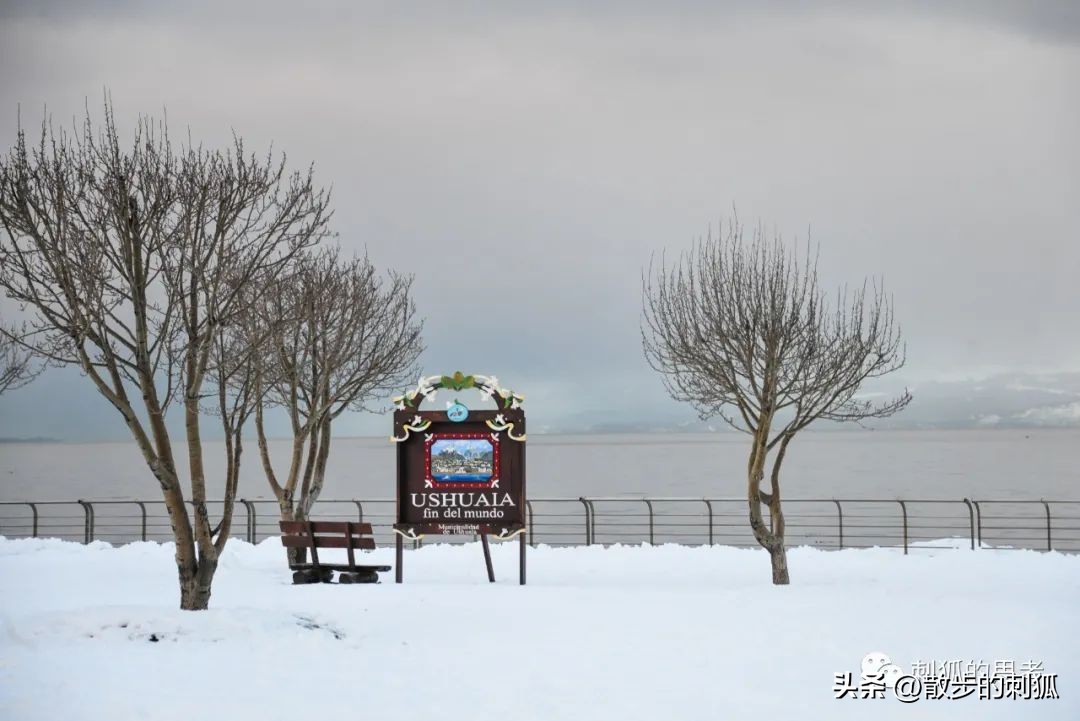 马拉多纳的足球经历,马拉多纳的世纪进球