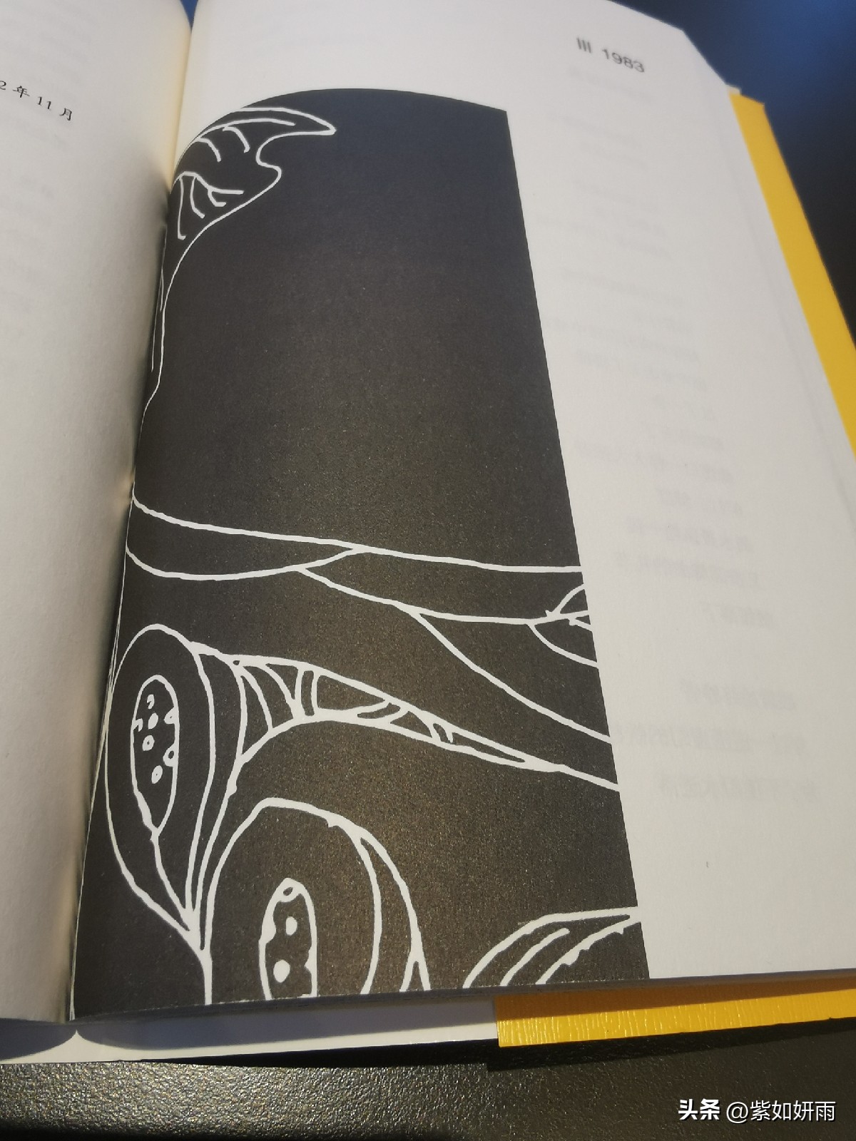 顾城的诗值得我们看吗,顾城的诗评价