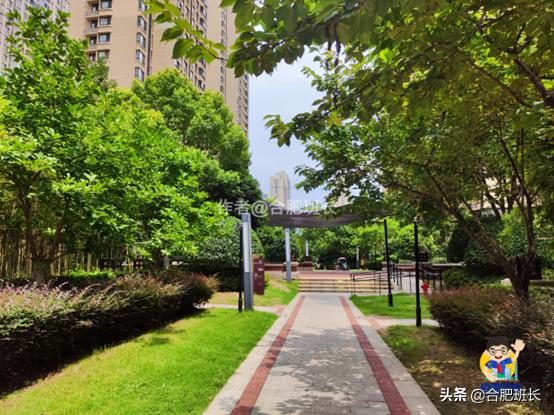 滨湖万科蓝山公区,滨湖万科蓝山容积率