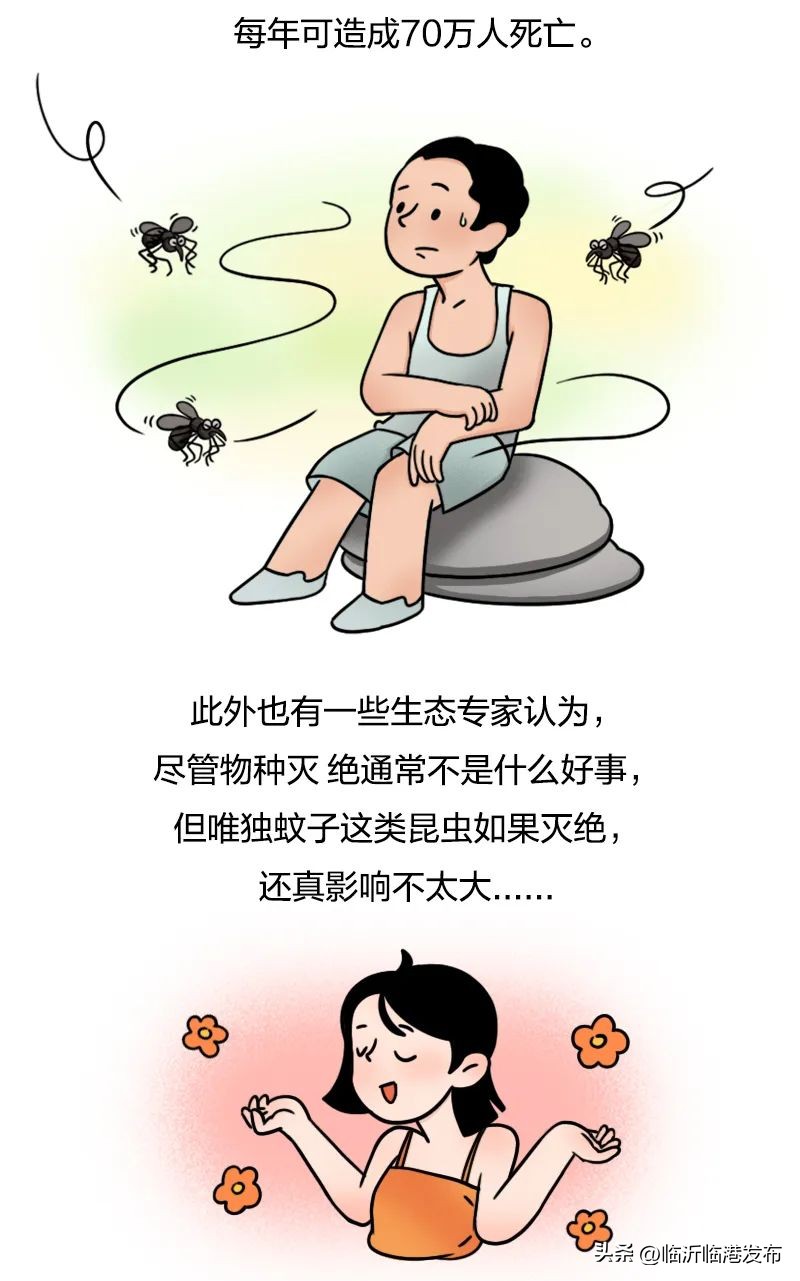 蚊子太毒怎么处理,彻底绝杀蚊子的妙招