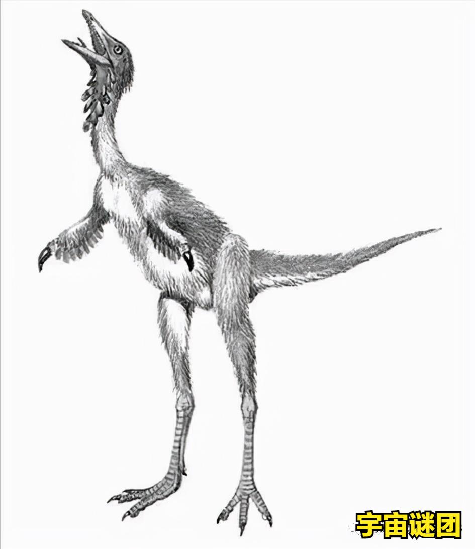恐龙小百科认识更多的恐龙,恐龙大百科里有什么没见过的恐龙