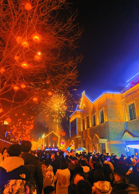 新春国潮花灯展,贺新春花灯欣赏