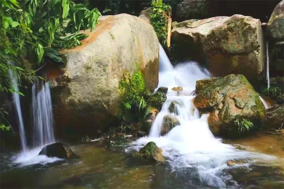 广州摘荔枝一日游最佳路线,从化自驾游荔枝采摘园