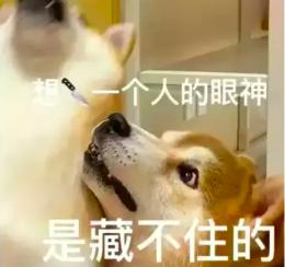 100个致富神器,分享六个赚钱软件