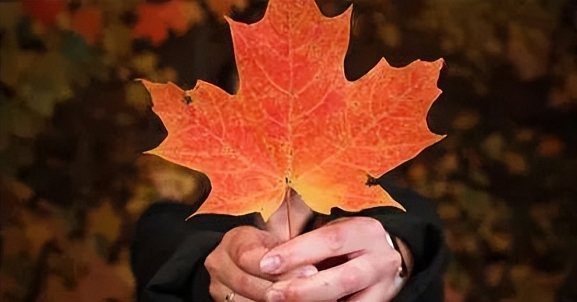 加拿大工签买房政策,加拿大温哥华工签可以买房吗