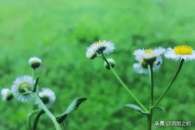 乡土小说：男欢女爱（二十）