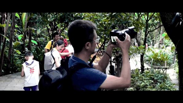 西双版纳值得旅游的地方,高品质西双版纳旅游