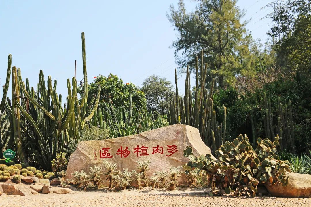 厦门亲子旅行攻略,厦门北站亲子宾馆