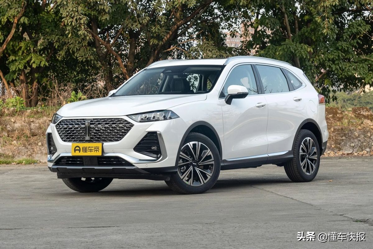 中杯大杯特大杯的拿铁,2022款1.5tdht超大杯拿铁测评