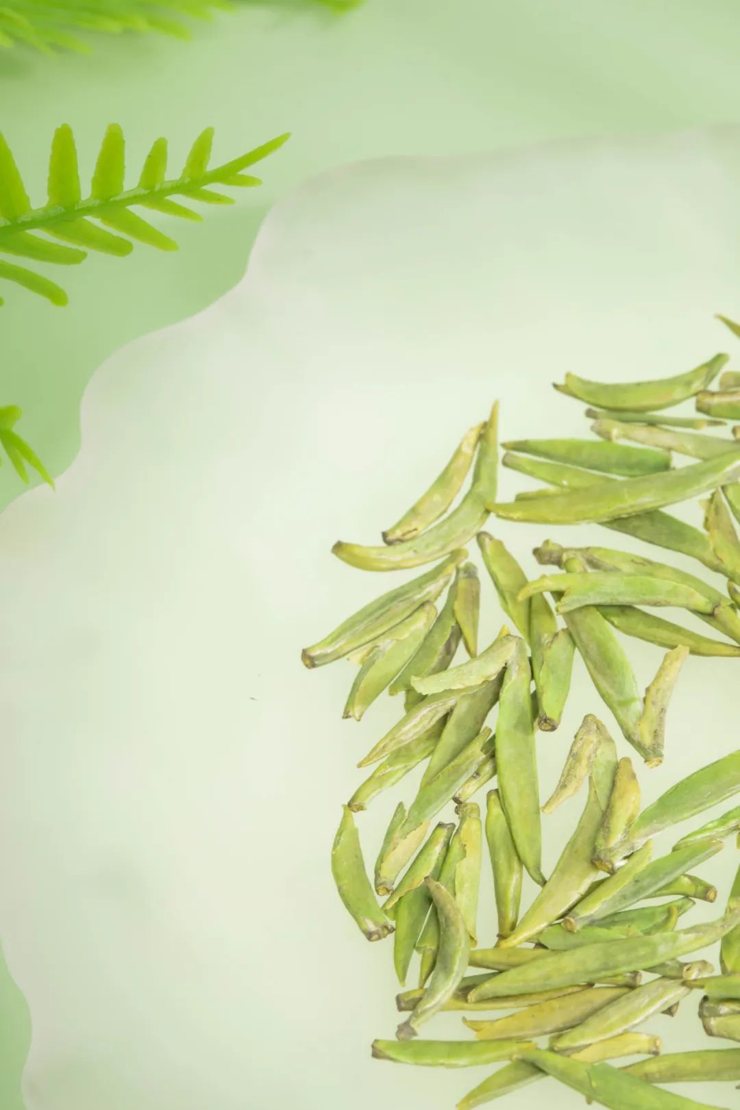 绿茶的质量优劣的鉴别方法有,假的绿茶怎么辨别