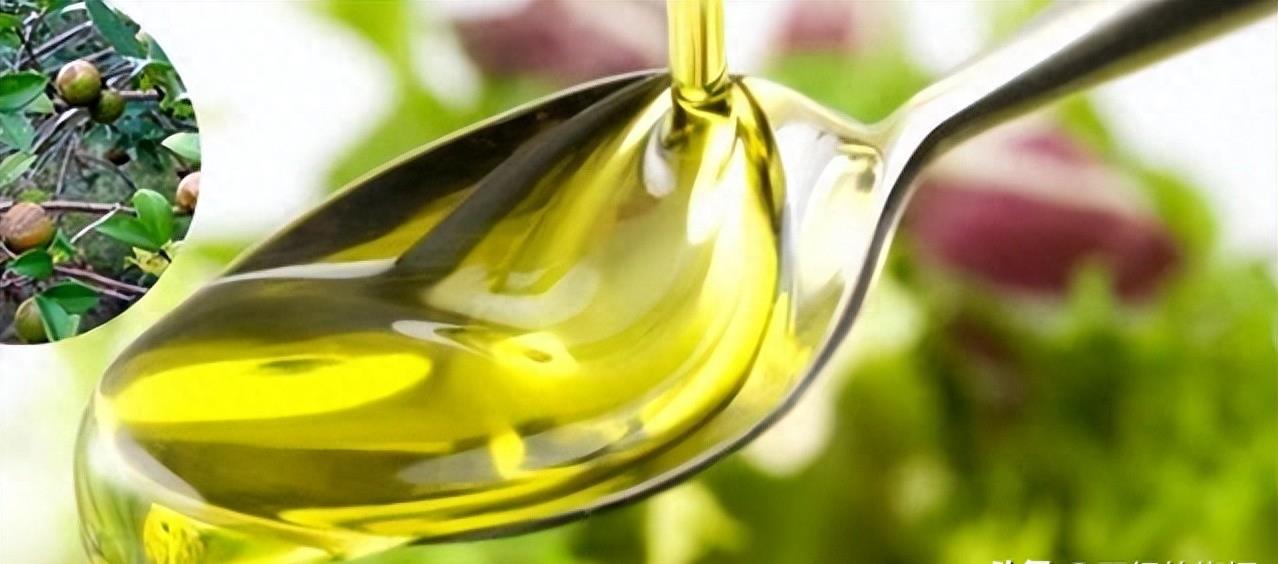 曾是皇帝*用御**，如今却无人问津，“油中软黄金”如何走向末路？