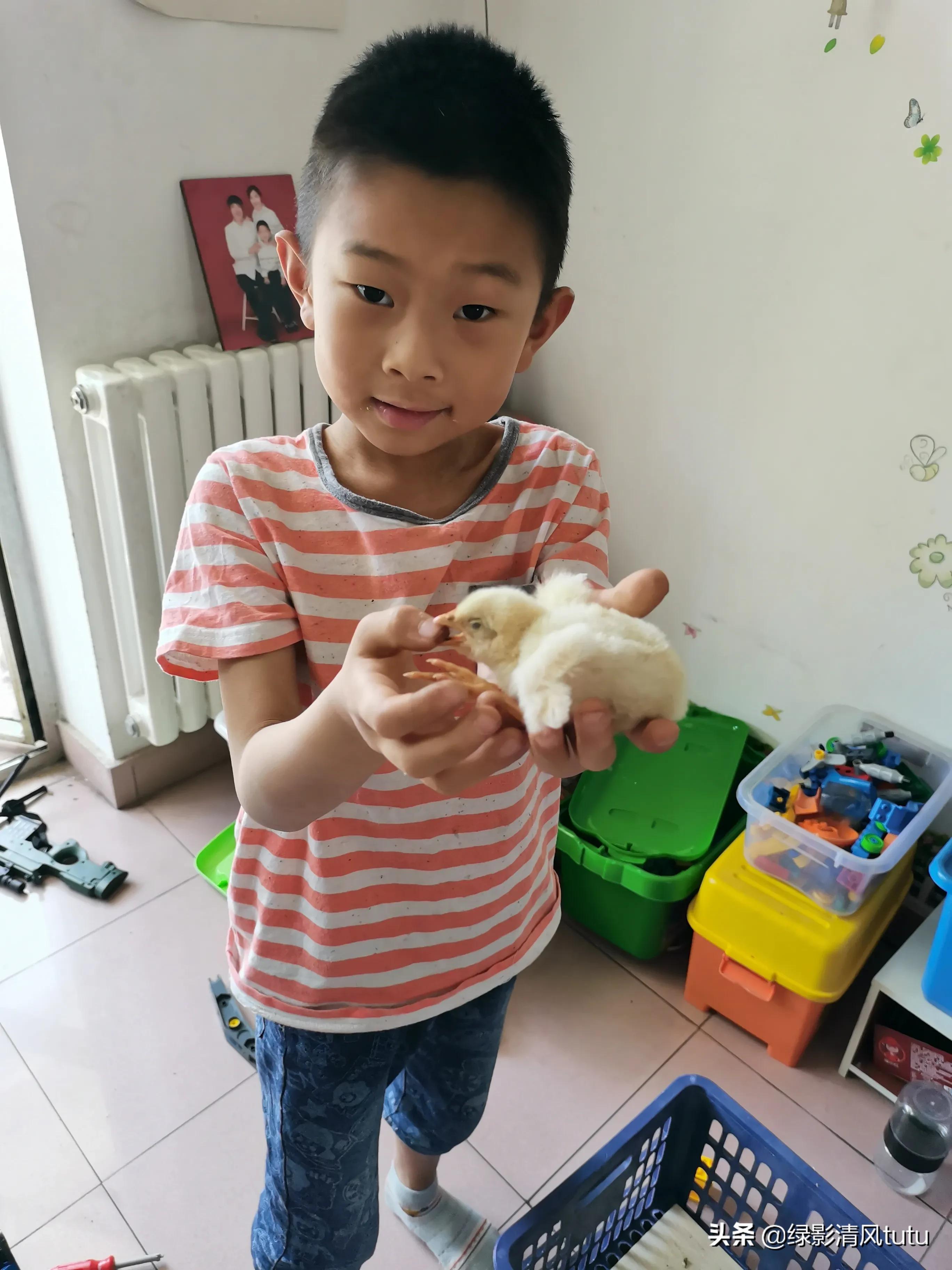 养不养孩子的区别,养宠物对孩子健康有什么影响