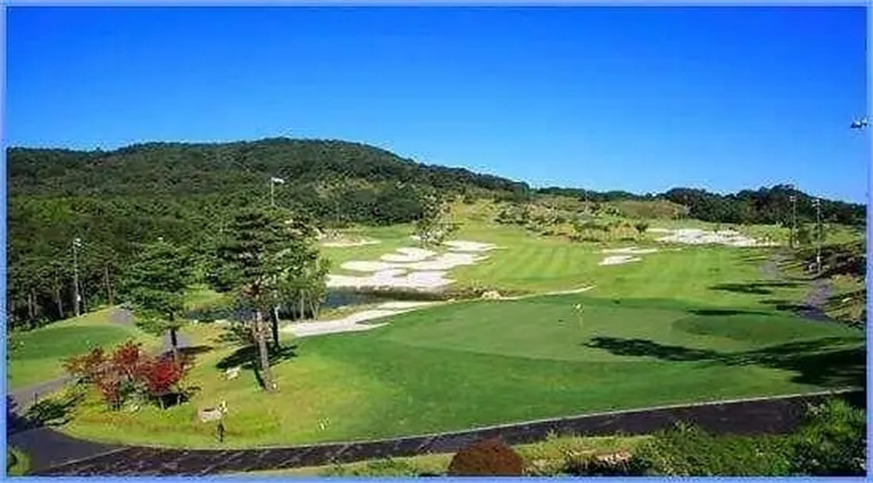 乐天集团退出中国市场后亏损数据,乐天集团为何敢惹众怒