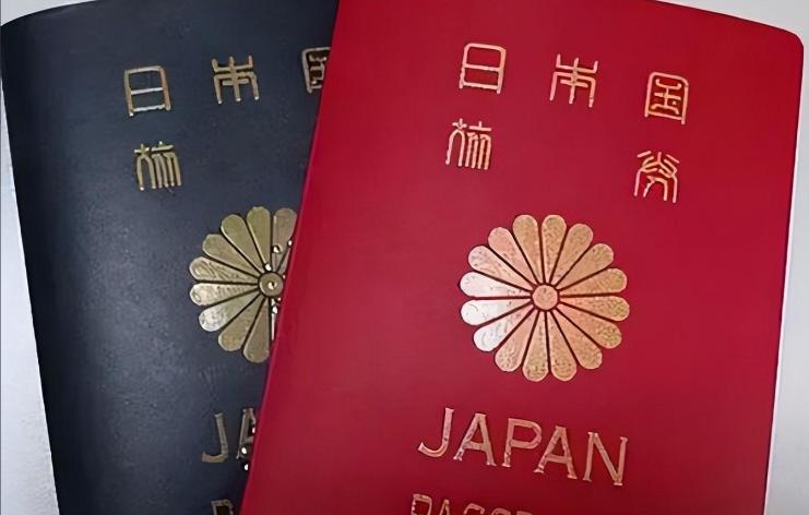 篮球王岑静祖籍哪里,日本女篮王岑静年薪