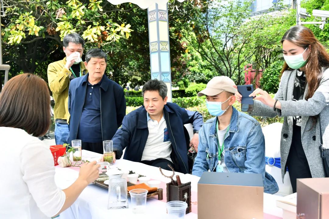 黔茶飘香2017,黔茶飘香都匀毛尖茶