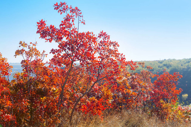 当年我顶班进供销社，弟弟妹妹不平衡，要把我4千退休金分走一半